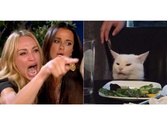 woman yelling at cat meme 2019