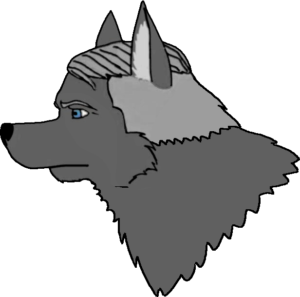 Grey wolf