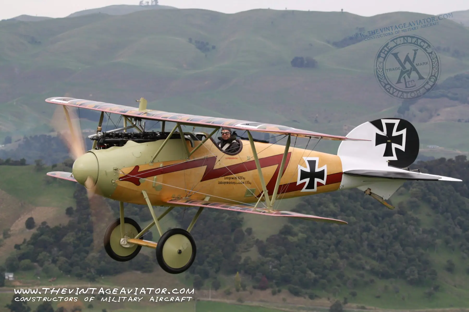 A Brief History of the Albatros D.V | The Vintage Aviator