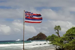 Hawaiian Flag